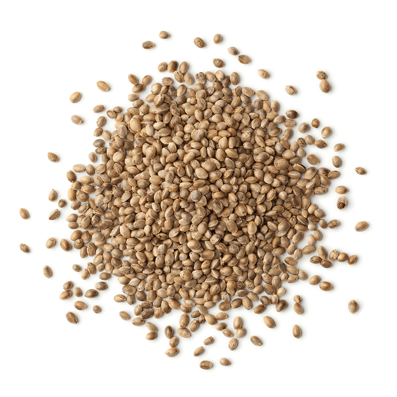 Hemp Seed Oil